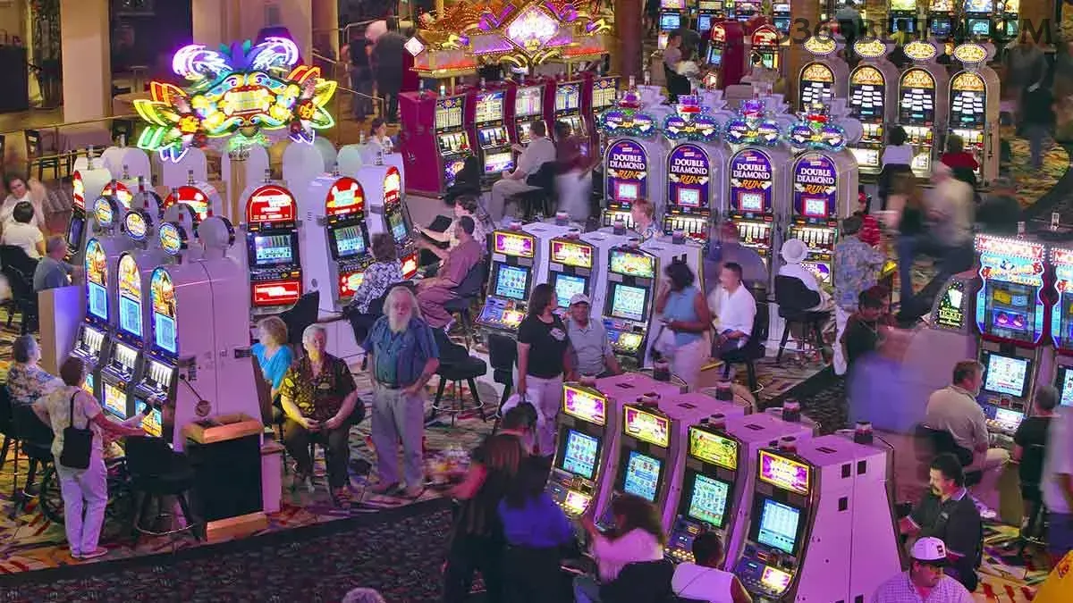 App 3365bet slots mobile